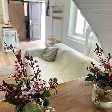 Casa Junto A Puigcerda Con Jardin, Wifi Y Chimenea Hébergement de vacances
